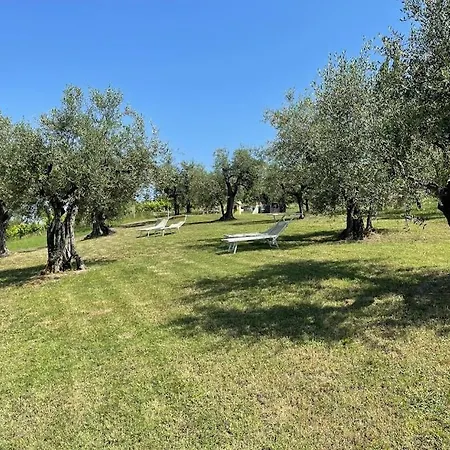 Belvedere Feriegård Saludecio