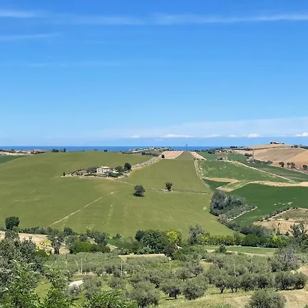 Belvedere