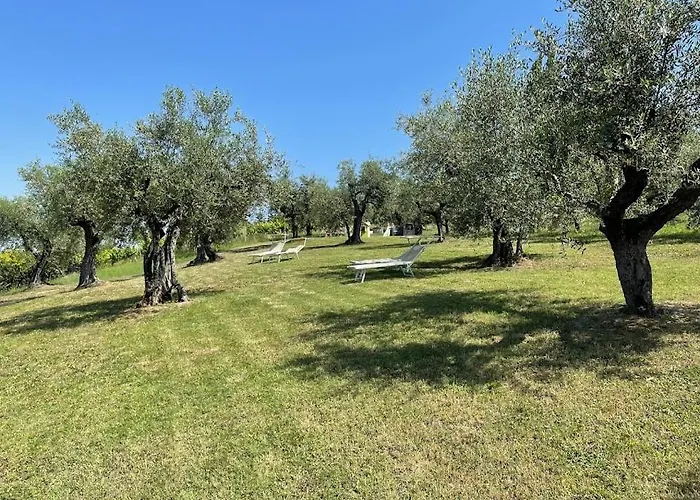 Belvedere Séjour à la ferme Saludecio