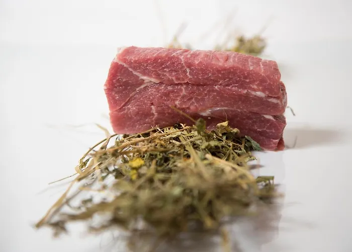 Séjour à la ferme Belvedere Saludecio