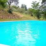 Belvedere
