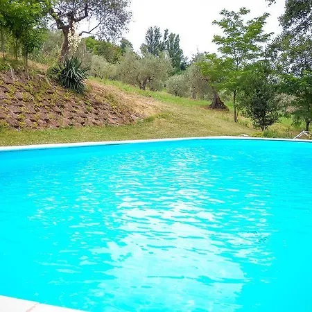 Belvedere