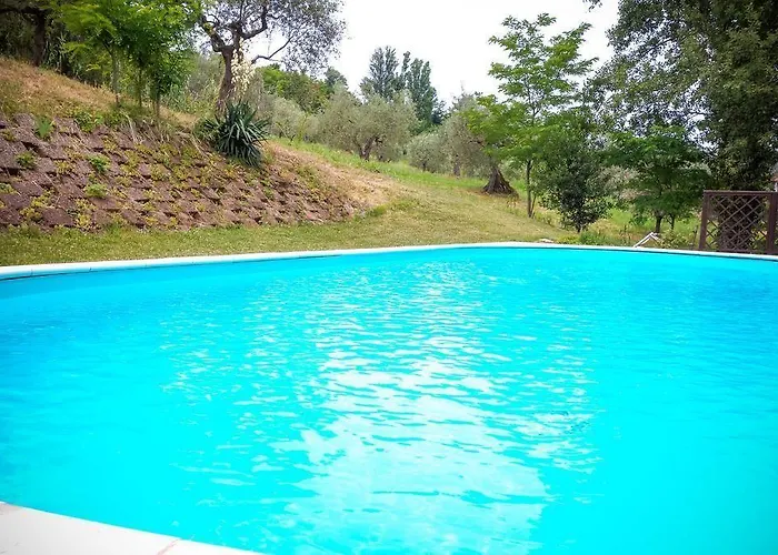 Belvedere